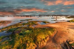sunset, sea, coast, beach, seaside, horizon, sky, clouds, coastline, shore, moss, bay, ocean, nature, scenery, sea, beach, beach, beach, beach, seaside, seaside, sky, moss, nature, scenery, scenery, scenery, scenery, scenery