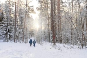 WInter travel deals Two people walk through a peaceful snowy forest, surrounded by tall pine trees under a soft winter light.
